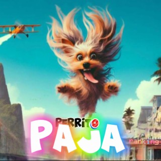 PERRITO PAJA