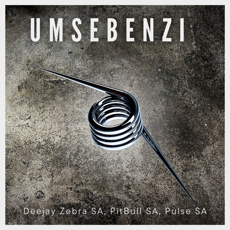 Umsebenzi ft. PitBull SA & Pulse SA | Boomplay Music