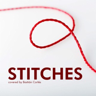 Stitches