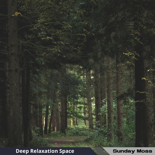 Deep Relaxation Space