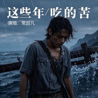 这些年吃的苦 lyrics | Boomplay Music