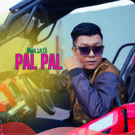 Pal Pal ft. Nikki Hamal | Boomplay Music