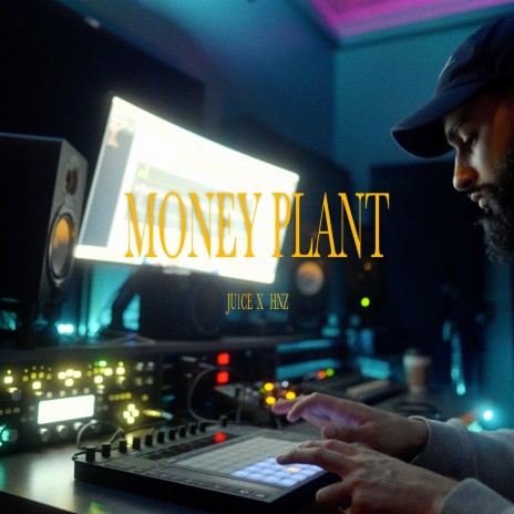 Money Plant ft. HNZ | Boomplay Music