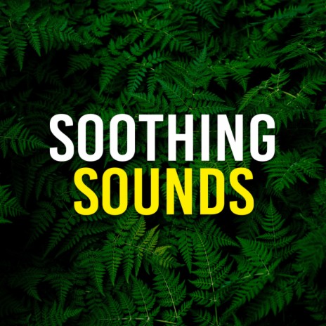 Nature Song | Boomplay Music