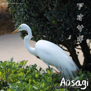 Aosagi - アオサギ