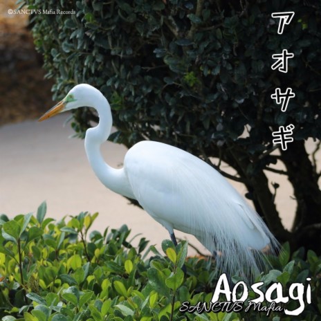 Aosagi (アオサギ) ft. Fish Alchemy