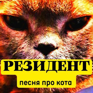 Песня про кота