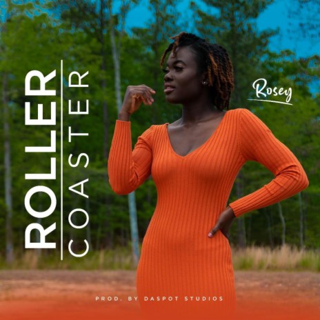 Rollercoaster | Boomplay Music