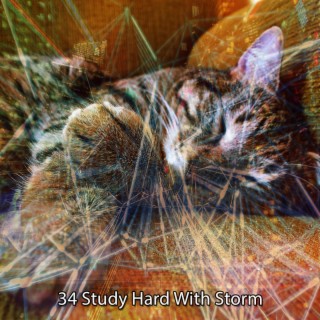 !!!! 34 Study Hard With Storm !!!!