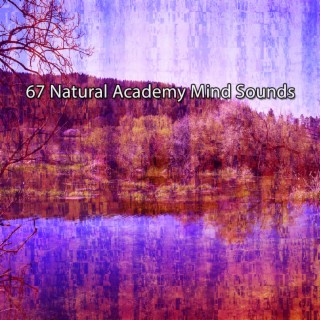 !!!! 67 Natural Academy Mind Sounds !!!!