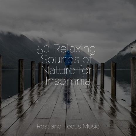 Calming Waves | Boomplay Music