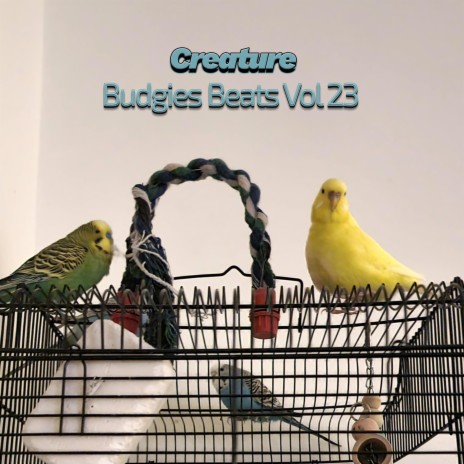 Budgies Beats XIII (Vol XXIII)