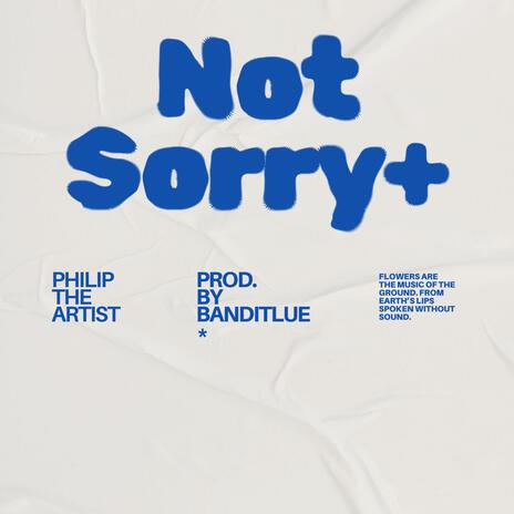 Not Sorry | Boomplay Music