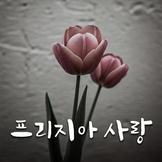 프리지아 사랑