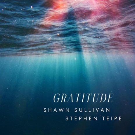 Gratitude ft. Shawn Sullivan | Boomplay Music