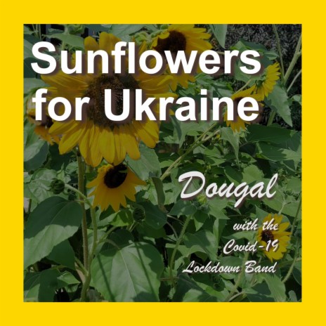 Sunflowers for Ukraine | Boomplay Music