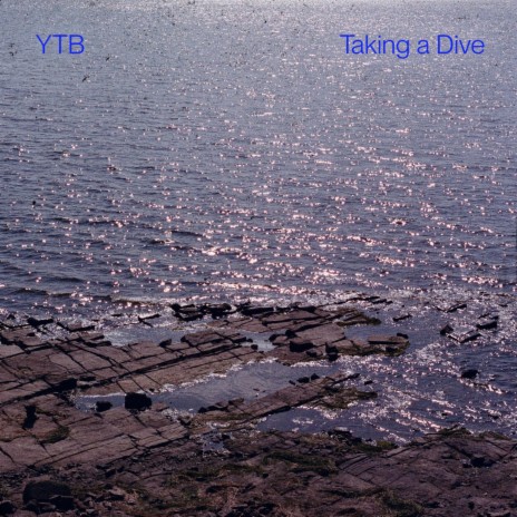 Taking a Dive | Boomplay Music