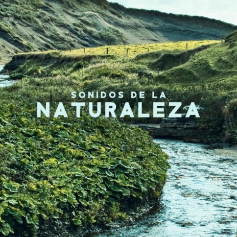 Sonidos de la Naturaleza | Boomplay Music