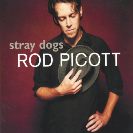 Stray Dogs | Boomplay Music