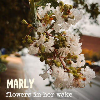 flowers in her wake (voice memo)