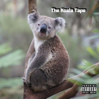 The Koala Tape