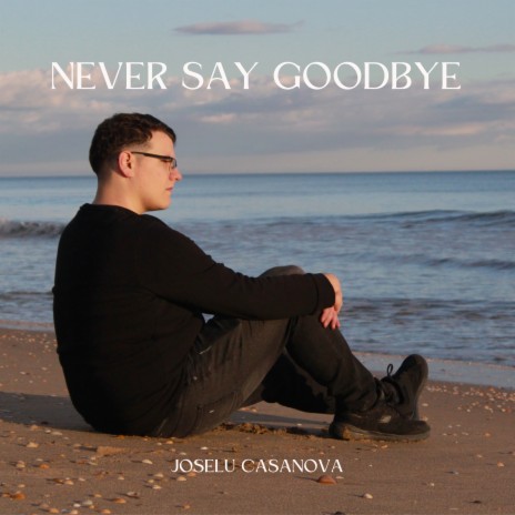 Never Say Goodbye | Boomplay Music