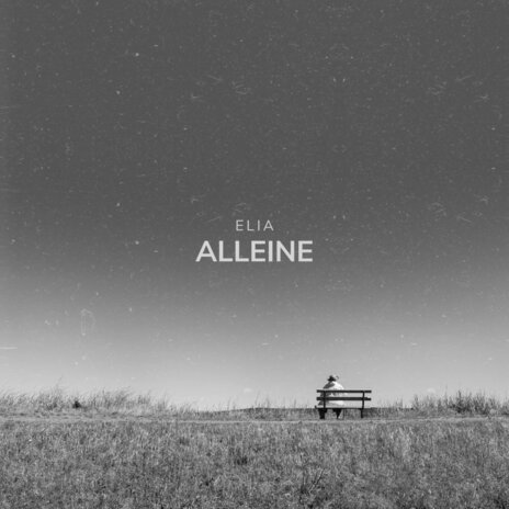 Alleine | Boomplay Music