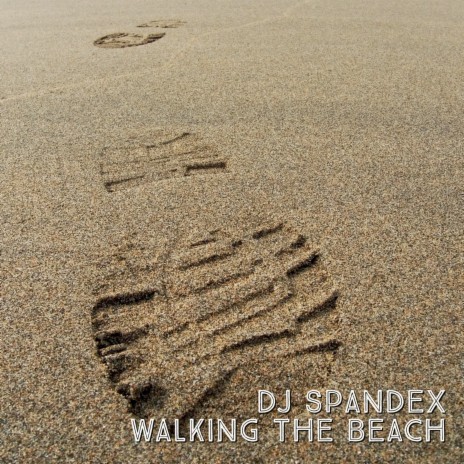 Walking The Beach | Boomplay Music