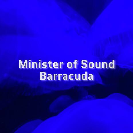 Barracuda | Boomplay Music