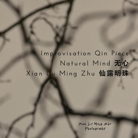 Natural Mind 无心 | Boomplay Music