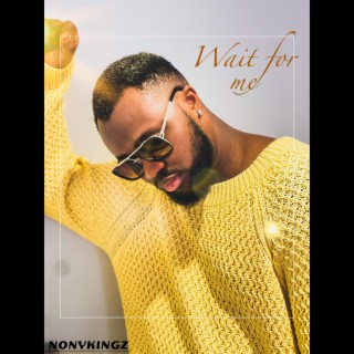 Wait For Me lyrics | Boomplay Music