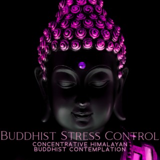 Buddhist Stress Control: Concentrative Himalayan Buddhist Contemplation, Jingzuo, Shamatha, MBSR