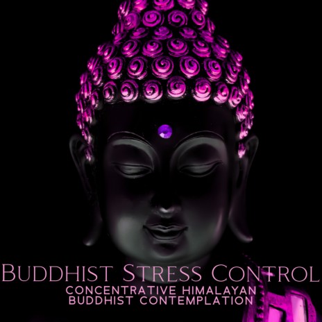 Buddhism in the West ft. Improving Concentration Music Zone