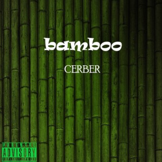 bamboo