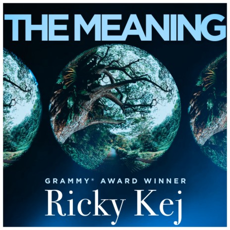 The Meaning | Boomplay Music