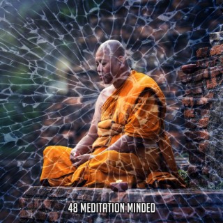 !!!! 48 Meditation Minded !!!!