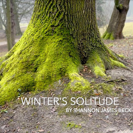 Winter's Solitude | Boomplay Music