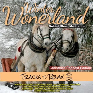 Winter Wonderland Sleep Meditation - Christmas Edition
