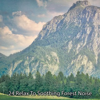 !!!! 24 Relax To Soothing Forest Noise !!!!