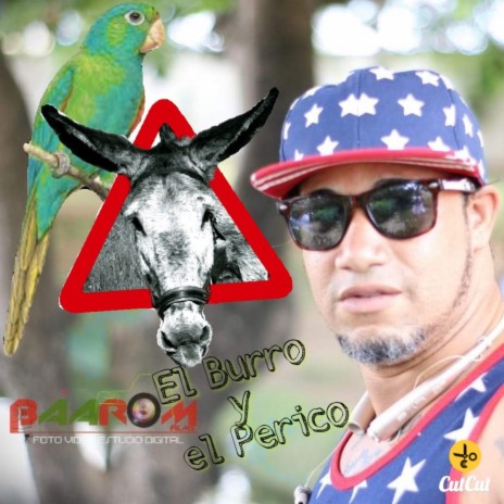 El Burro y el Perico | Boomplay Music