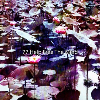 !!!! 77 Help Free The Mind !!!!