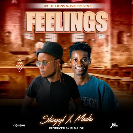 Feelings ft. Shingsqil | Boomplay Music