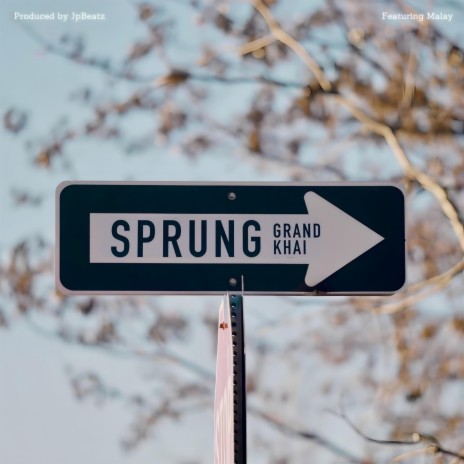 Sprung ft. Malay | Boomplay Music