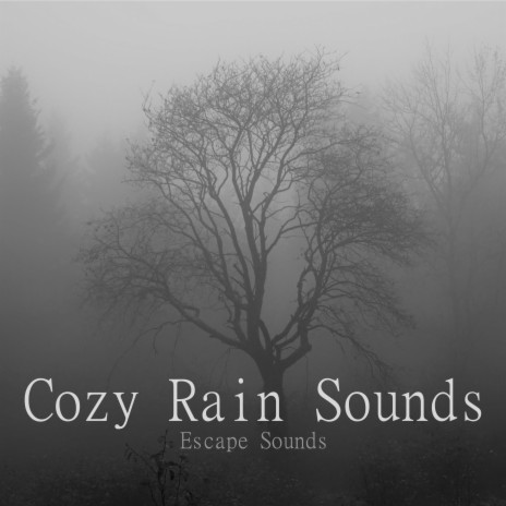 Gentle Calming Rain | Boomplay Music