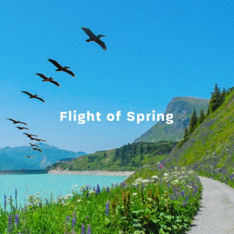 Flight Of Spring | Boomplay Music