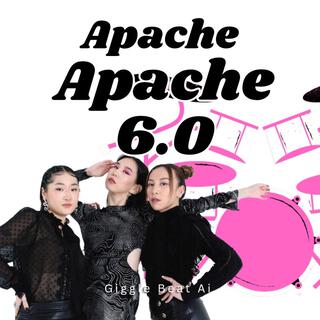 Apache Apache 6.0