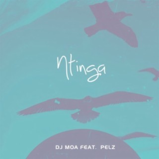 Ntinga