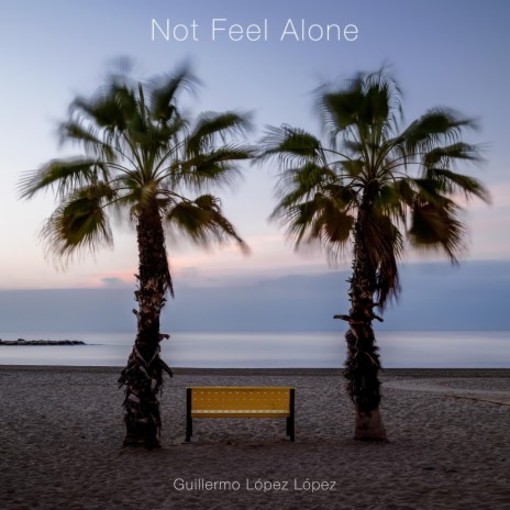 Not Feel Alone | Boomplay Music