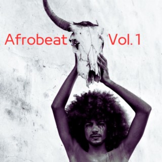 Afrobeat, Vol.1