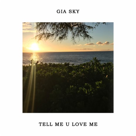 Tell Me U Love Me | Boomplay Music